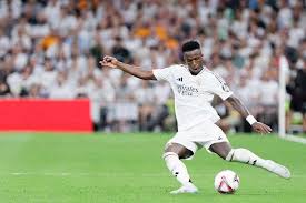 多主席表示, 警方仍在调, 在比赛结束