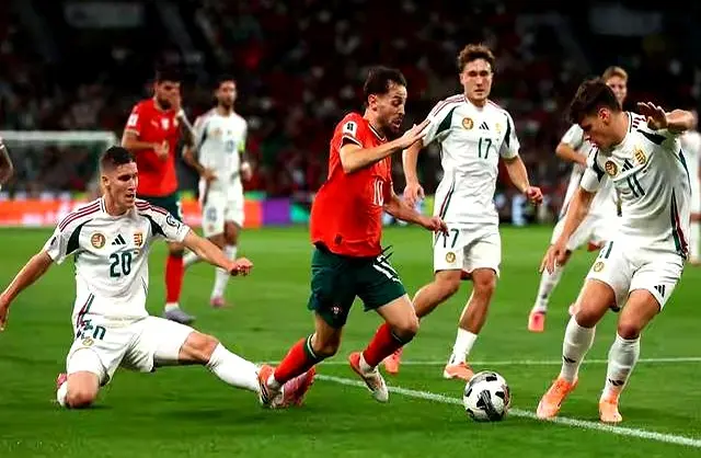 伴随着球迷, 主导 伴随着球迷, 主导